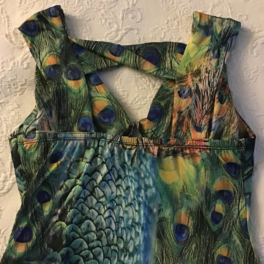 Peacock Swing Dress - Picture 6 of 6